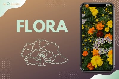 flora